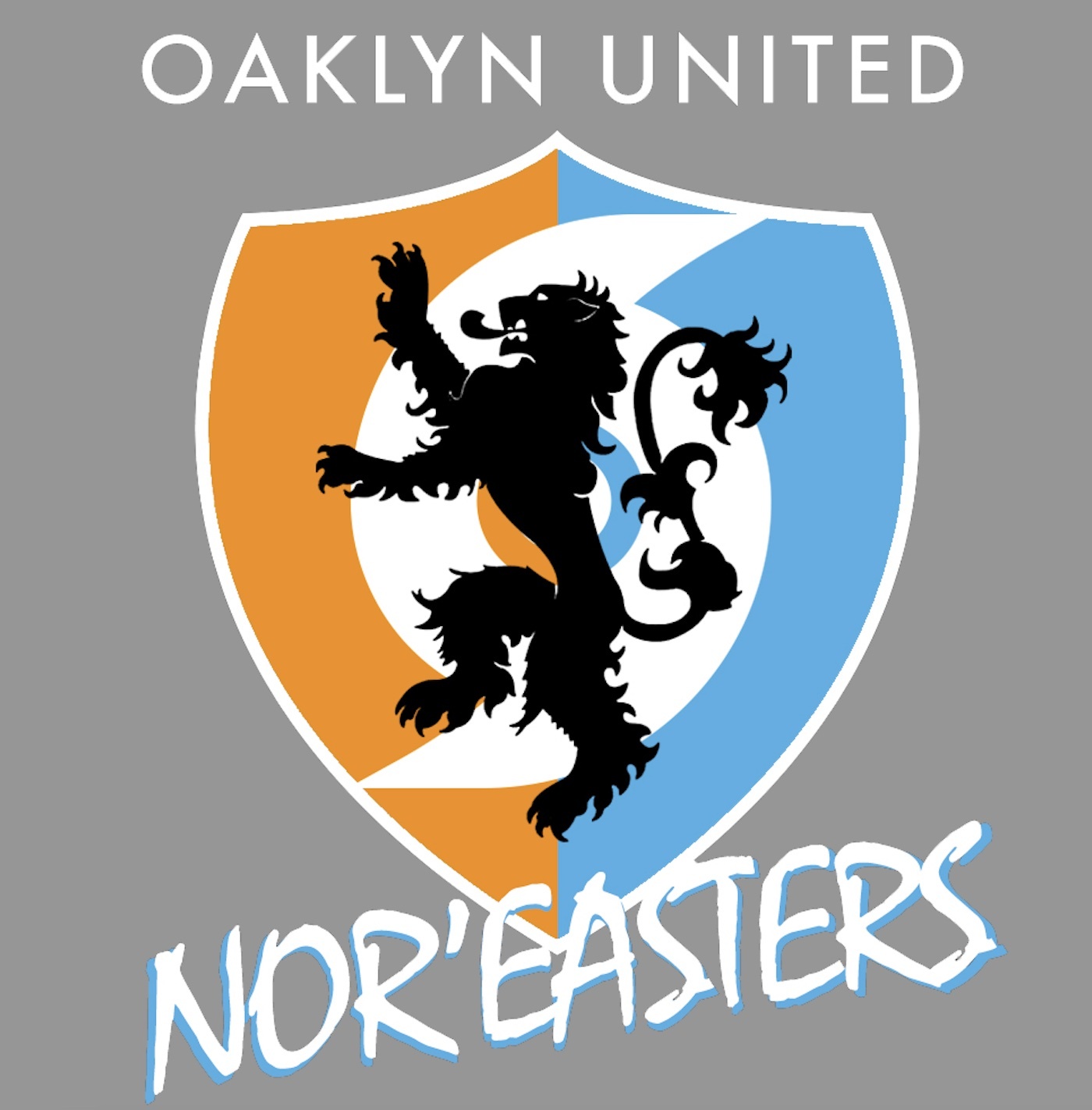 American Premier Soccer League american-premier-soccer-league